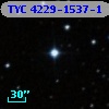 TYC 4229-1537-1
