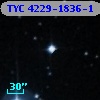 TYC 4229-1836-1