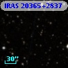 IRAS 20365+2837