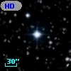 HD 341006