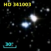 HD 341003