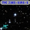 TYC 2165-1181-1