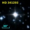 HD 341293