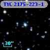 TYC 2175-223-1