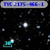 TYC 2175-466-1