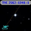 TYC 2562-1341-1