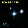BD+66  1175