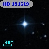 HD 181519