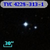 TYC 4228-313-1