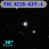 TYC 4228-677-1