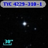 TYC 4229-310-1