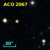 ACO  2067