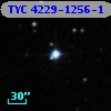 TYC 4229-1256-1