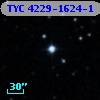 TYC 4229-1624-1