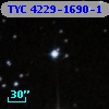 TYC 4229-1690-1