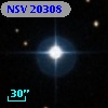 NSV 20308