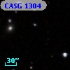 CASG 1304