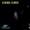 CASG 1303