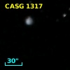 CASG 1317