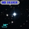 HD 181959