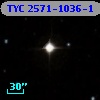 TYC 2571-1036-1