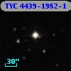 TYC 4439-1982-1