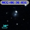 MCG+06-36-031