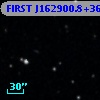 FIRST J162900.8+363316