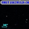 FIRST J162951.9+360113