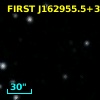 FIRST J162955.5+363501