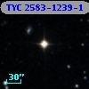 TYC 2583-1239-1