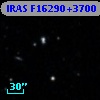 IRAS F16290+3700