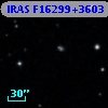 IRAS F16299+3603
