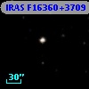 IRAS F16360+3709