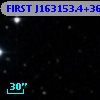 FIRST J163153.4+364302
