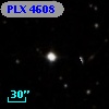 PLX 4608