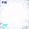 PSR J1641+3627B