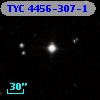 TYC 4456-307-1