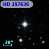 HD 187636
