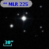 ** MLR   225