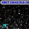 FIRST J164129.4+363353