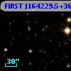 FIRST J164229.5+362032