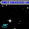 FIRST J164159.8+365729