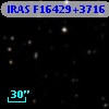 IRAS F16429+3716