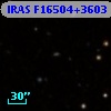 IRAS F16504+3603