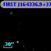FIRST J164336.9+372915
