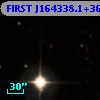 FIRST J164338.1+362349