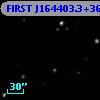 FIRST J164403.3+365259