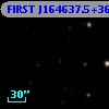 FIRST J164637.5+361158