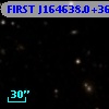 FIRST J164638.0+362701